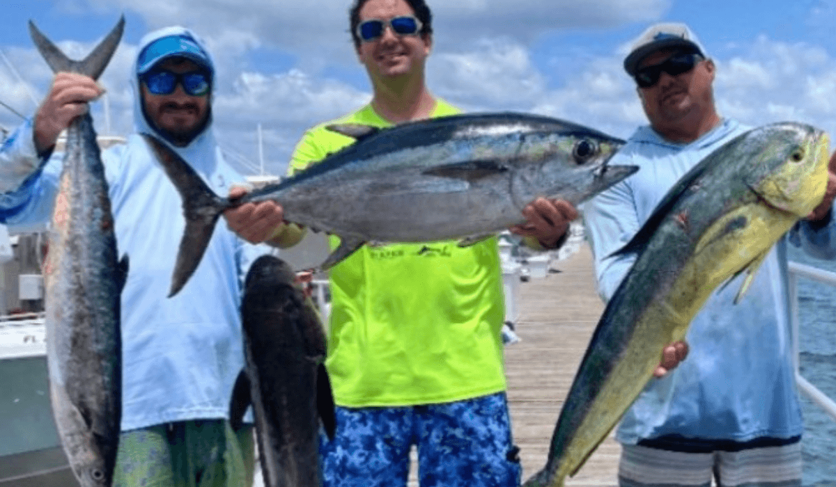 Full-Day Sportfishing & Live Bait Charter